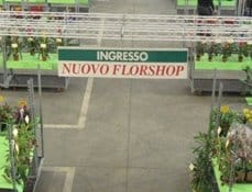 Florshop: il centro del verde italiano