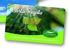 Un regalo speciale per chi ama il verde