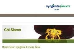 Syngenta separa le attività di wholesale e distribuzione del settore Fiori in Europa