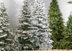 Nuove collezioni “Natale 2010” da Camaflor