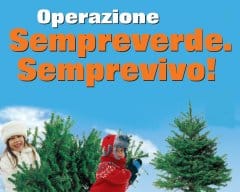 Con OBI gli abeti di Natale “tornano liberi”