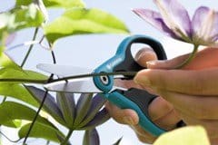 In calo le vendite di attrezzi per il giardinaggio