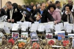 Inizia il “mese verde” di PadovaFiere