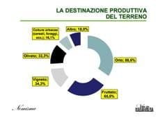 Nomisma presenta il primo rapporto sull’hobby farming in Italia