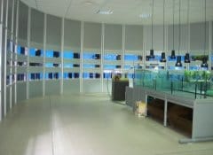 Quando l'allestimento è d'autore