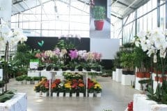 Florbusiness 2010: un successo annunciato