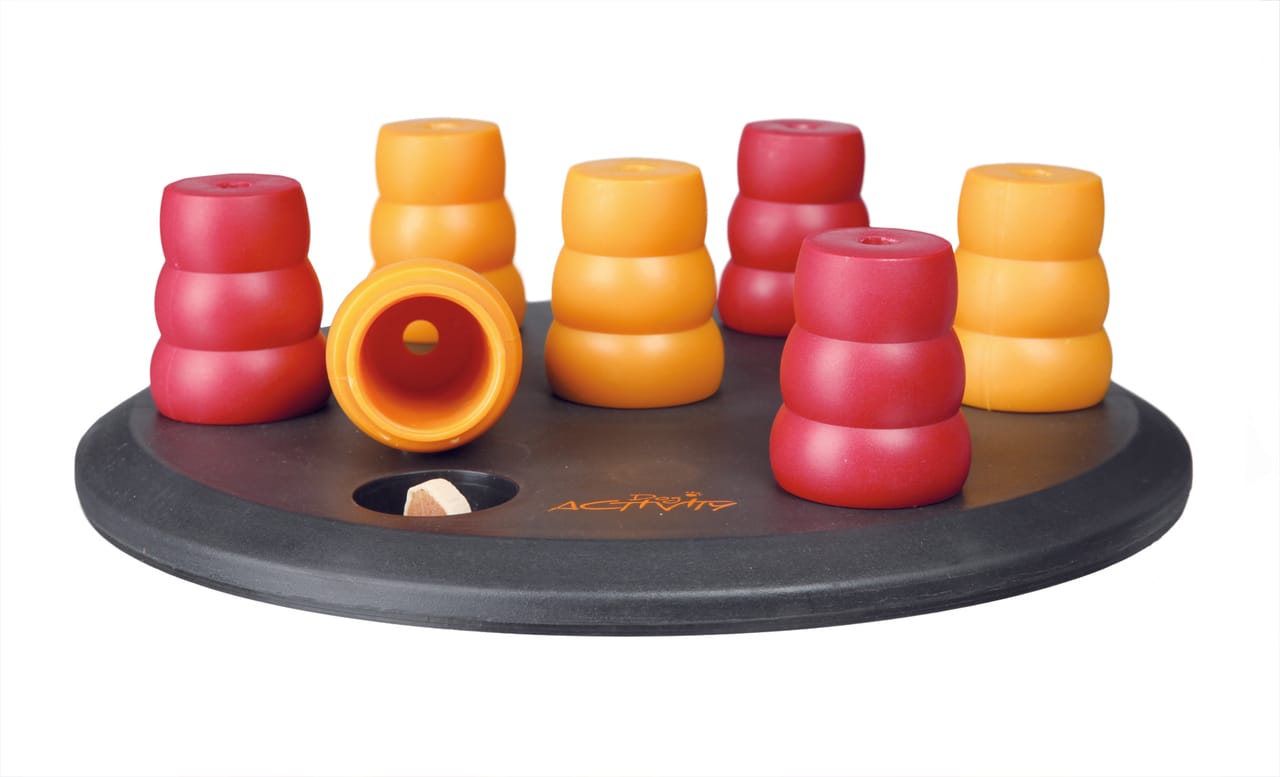 Dog Activity, i giochi per i cani