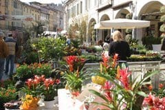 Il verde conquista Brescia
