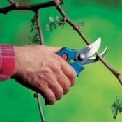 I materiali migliori per una potatura professionale