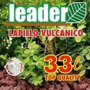 Ecologia vulcanica