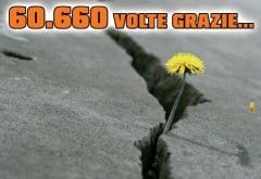 Domani Obi e Avis insieme per l'Abruzzo