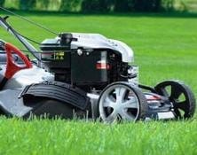 Nasce DemoGarden: il nuovo modo di dire “motor”