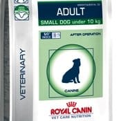 Ad hoc per cani sterilizzati