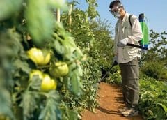 Irrorazione, un mercato che gocciola