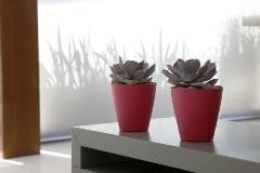 Il mercato italiano dei vasi: innovazione e design contro la crisi