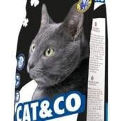Nuovi pack per Dog&Co e Cat&Co