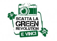 La Green Revolution di Fito premia gli amanti del verde