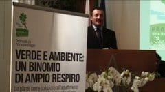 Le piante combattono l'inquinamento