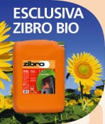 Il combustibile è “Bio”