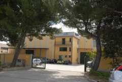 Cilli, il grossista 'verde'