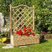 Iris: la fioriera arricchisce il giardino