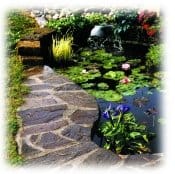 Laguna: il laghetto che rende il giardino perfetto