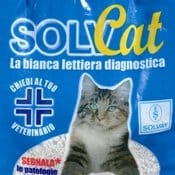 Le lettiera che dice se il gatto sta bene