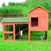 Linea Natura: l’habitat ideale per gli amici roditori