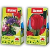 L’autunno di Blumen si colora di bulbi
