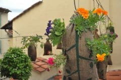 Quando il gardening diventa guerrilla