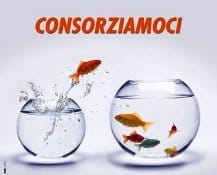 Scissione in Puntobrico