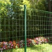 Pantanet Basic: un classico intramontabile