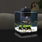 Fluval Chi: l'acquario che arreda