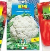 Big Pack: il classico si rinnova