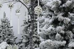 Camaflor presenta le nuove collezioni Autunno e Inverno 2011/12