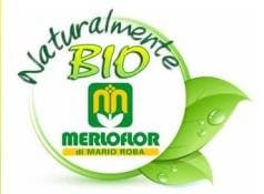 Euroflora: un successo annunciato per le aromatiche Naturalmente Bio