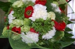 Euroflora: la presenza della Liguria