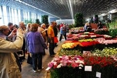 Euroflora: Leroy Merlin sostiene l’ambiente e le produzioni locali