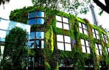 Il giardino diventa verticale