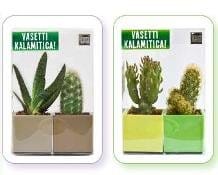 Sgaravatti diventa Trend