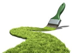 Una pennellata di colore ecologico