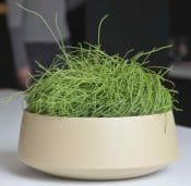 Fusione di sobrietà e delicatezza con D&M