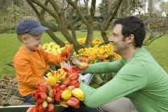 Promogiardinaggio e IBC lanciano 'Planting Day'