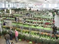 18 novembre: l'elite del verde italiano si incontra da Flormercati