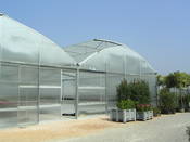 Un partner per il garden