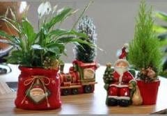 Pagano Fiori apre le porte al Natale