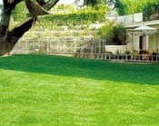 Un perfetto prato all’inglese