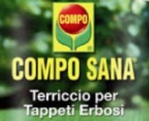 Compo: la “nuova” società