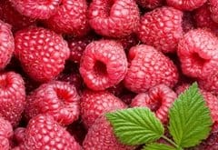 Anche i piccoli frutti crescono