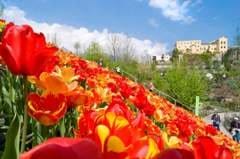 L’1 aprile apre la stagione del Giardino di Sissi